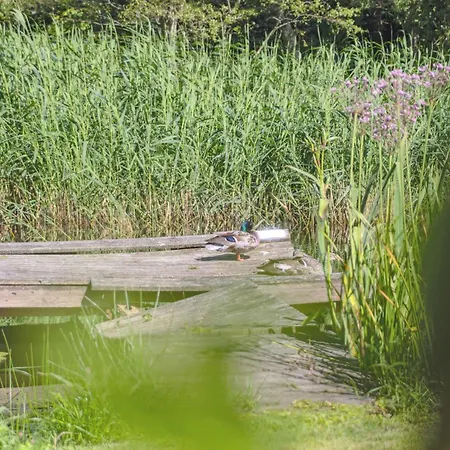 Beautiful Summer House In A Fantastic Location 別荘 *